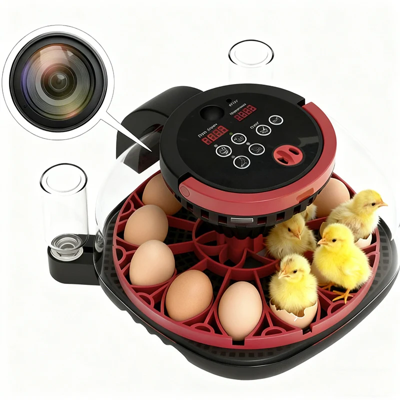 

Умный инкубатор для яиц с камерой, функцией таймлапса и контролем температуры, малый коммерческий инкубатор для яиц, производство Китай, продажа в Зимбабве
