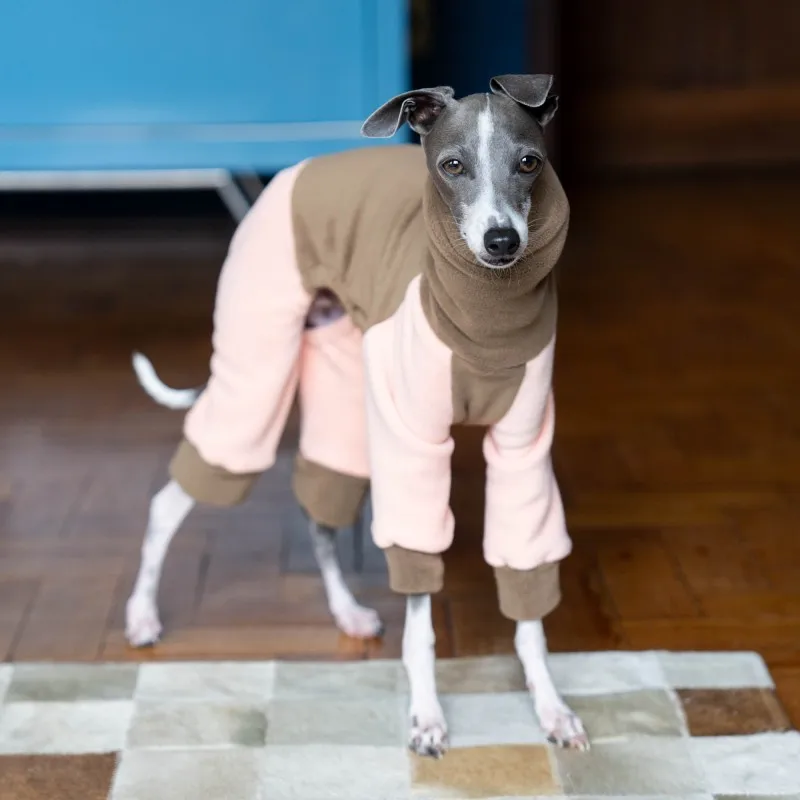 Iggy-Turtleneck for Dogs, Soft Elastic Stitching Clothes, Four-legged Clothes, Greyhound, Hairless, Orange