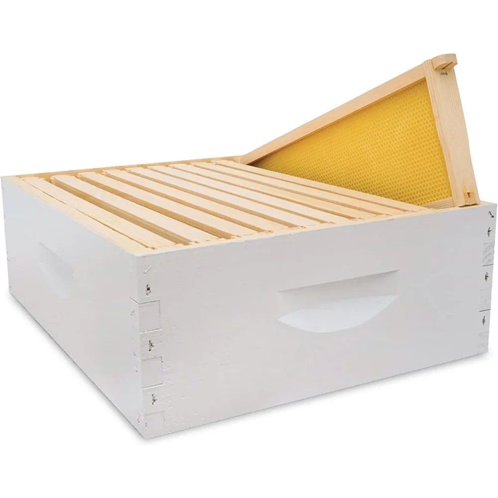 

Mann Lake 10-Frame Medium Super Kit, Fully Assembled 6⅝" Super Box with 10 Durable Frames & Beeswax-Coated Plastic Foundation fo