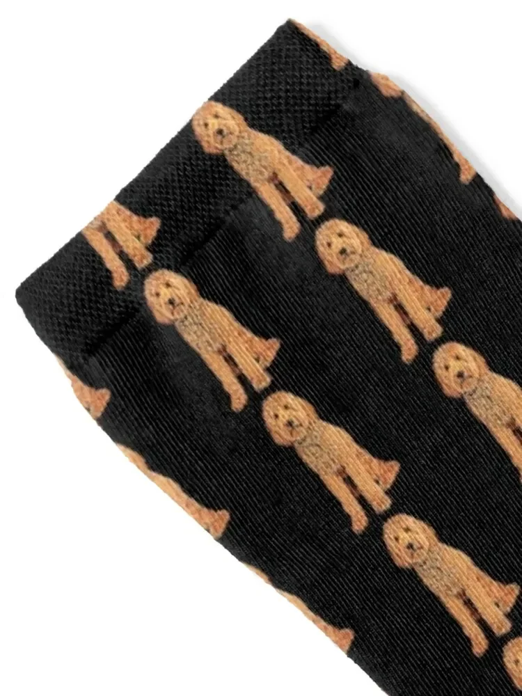 Red Goldendoodle Sticker Socks Non-slip sport floor New year's Men Socks Luxury Brand Women's