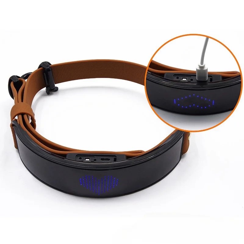 dog collar Wholesale Waterproof Flashing Light up Reflective Pet Collar Adjustable USB Type-C Recharge Luxury LED Luminous Colla