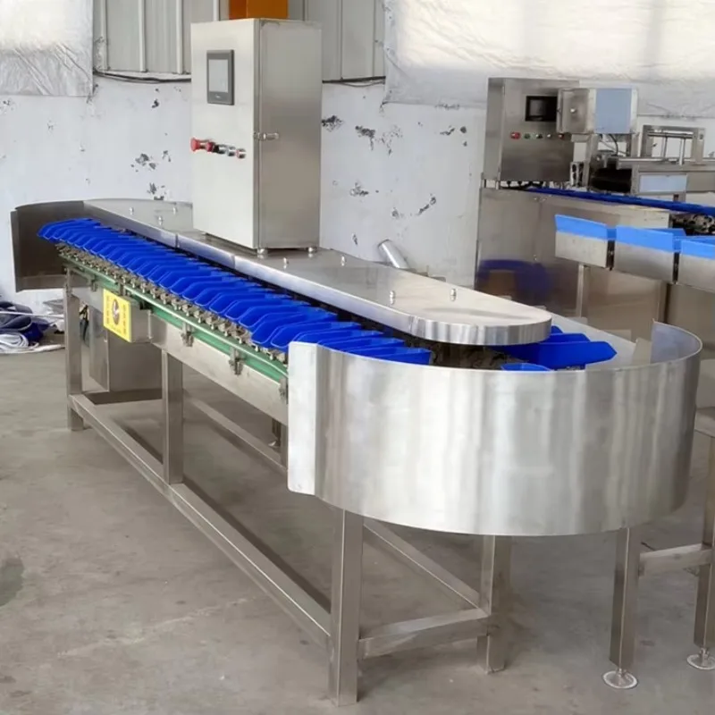 Customize Fruit Vegetable Grader  Sorting Machine Weight Sorting Machinery