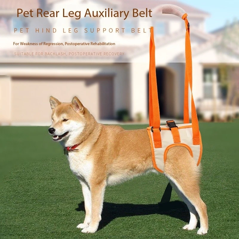 

Adjustable Dog Sling Back Legs Hip Support Pet Accessories for Canine Aid and Ligament Rehabilitation Dog Lift Harness