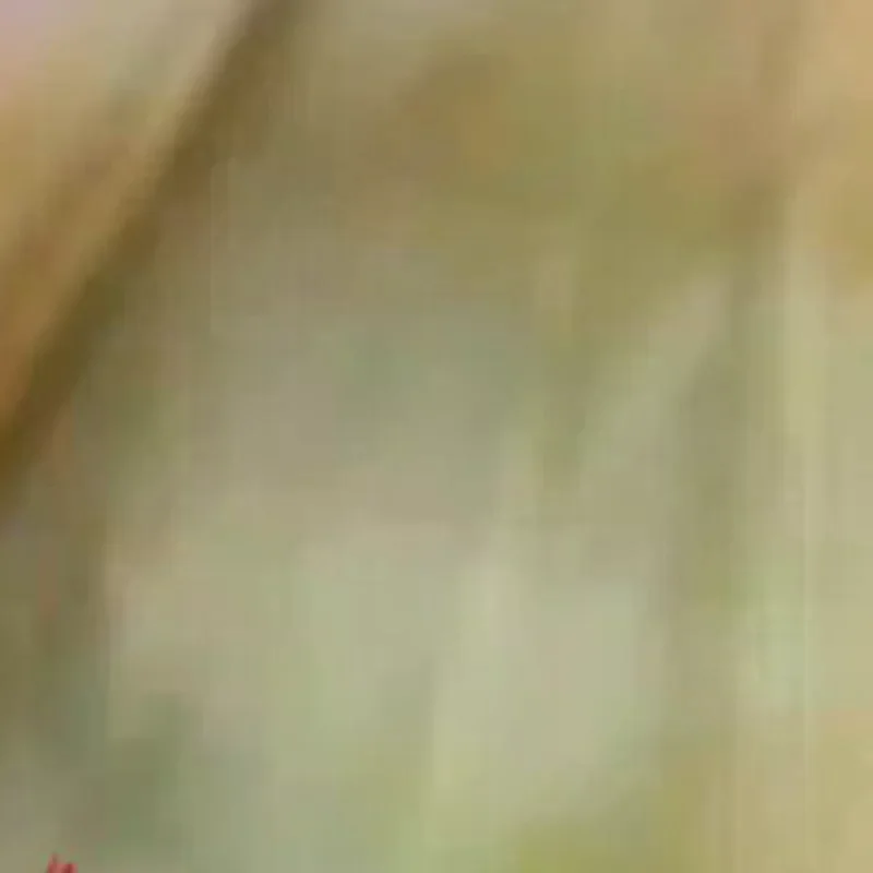 Boîte à thé scellée, conteneur de rangement de cuisine, pot carré en étain, boîte à bonbons, boîte à thé à fleurs Vintage, boîtes universelles en fer blanc