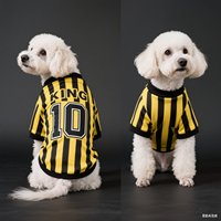 2025 Pet Dog Clothing Set Vests and T-Shirts Breathable and Cool Summer Apparel Brand IP Licensed Patterns Dog King