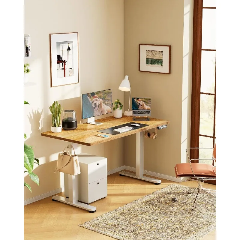 Height Adjustable Electric Standing Desk, 63 x 28 Inches Sit Stand up Desk, Memory Computer Home Office Desk