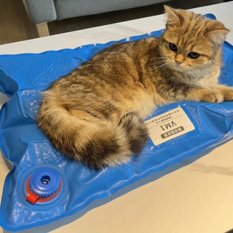 Anim Al Surgical AccessoriesUse 60cm*40cm  Pet Vacuum Positioning Mat Care Room Small Veterinary Examination Pet Fixed Pad