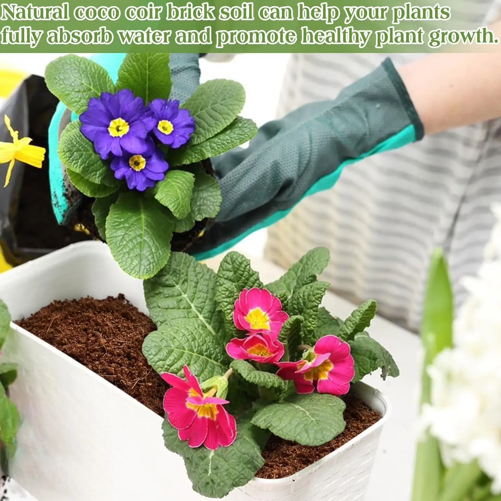 Coco Peat For Plants Compressed Brick Natural Potting Starting Mix Substrate Outdoor Potting Soil For Indoor Balcony Garden Farm
