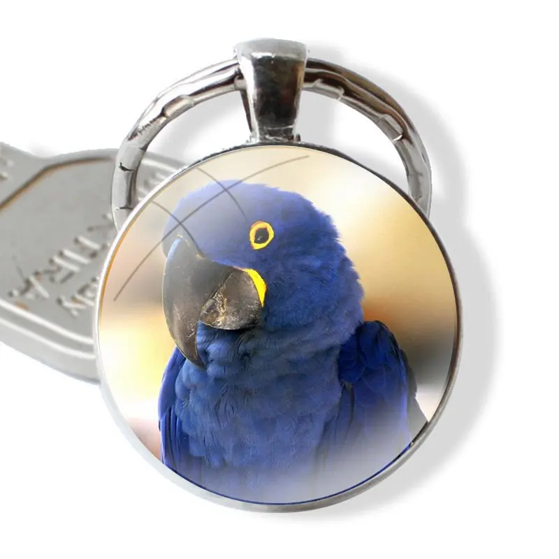 Glass Metal Pendant Key Chain Classic Men Women Key Ring Accessories Jewelry Gifts Funny Parrot Blue Color