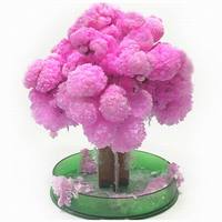 2022 14cm Visual Artificial Magic Sakura Trees Decorative Grow DIY Paper Tree Flower Desktop Cherry Blossom Christmas Kids Toys