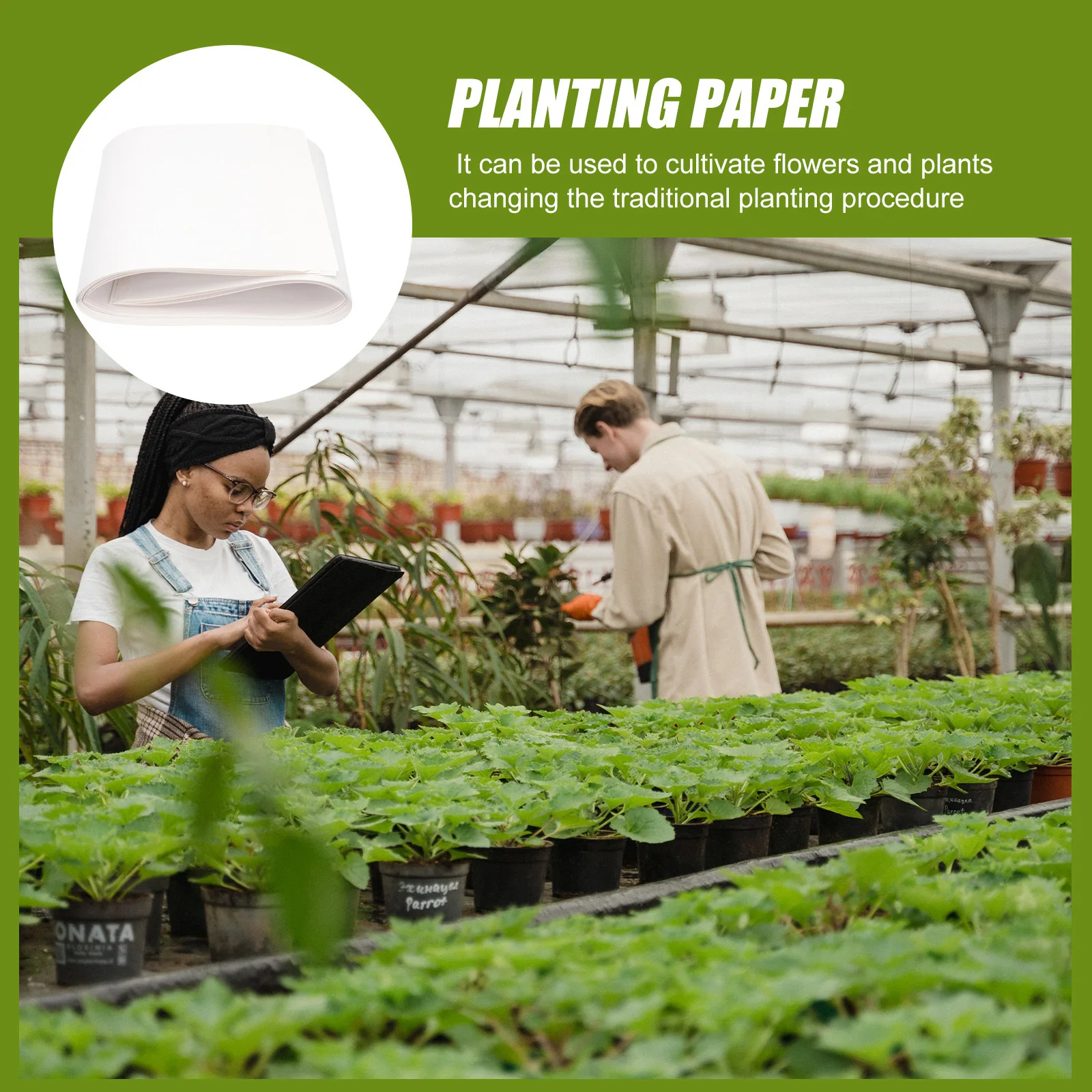

50Pcs Germinating Paper Professional Nursery Soilless Cultivation Growing Vegetable Sprout Plate Planting Paper