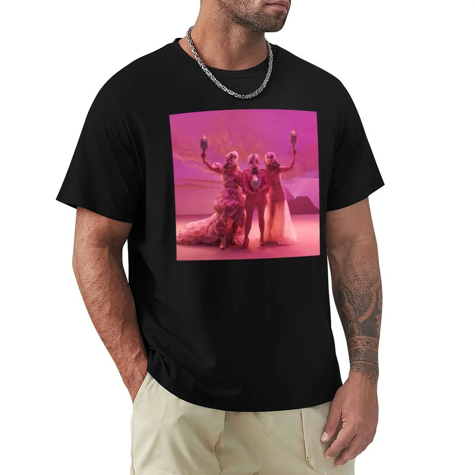 Dixie Chicks 1 warroe T-Shirt Lightweight Gym Training T-Shirt