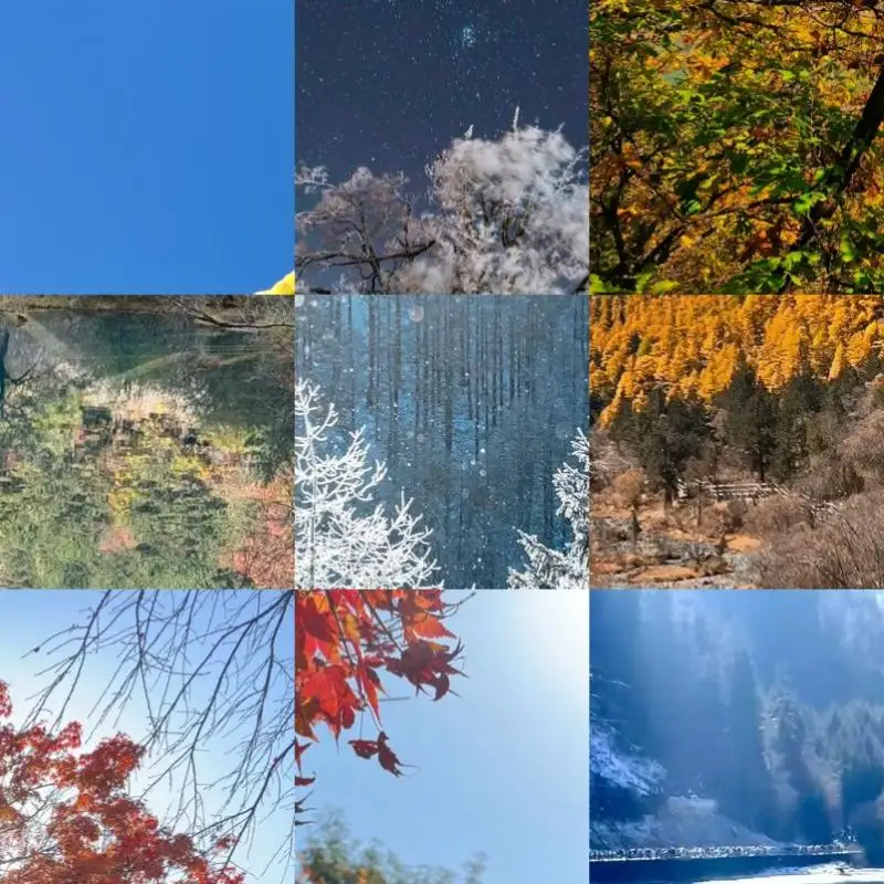 3 In 1 Type-C To Sd…