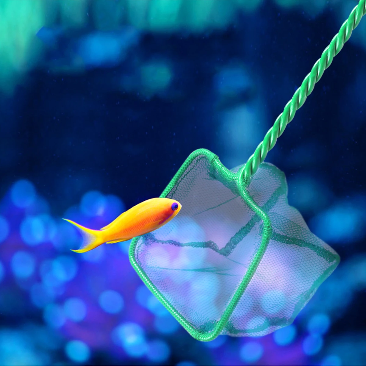 

5pcs Fish Tank Net Long Handle Stainless Steel Durable Net for Aquarium Shrimp Fish Catching Removal Residue Nets Tools