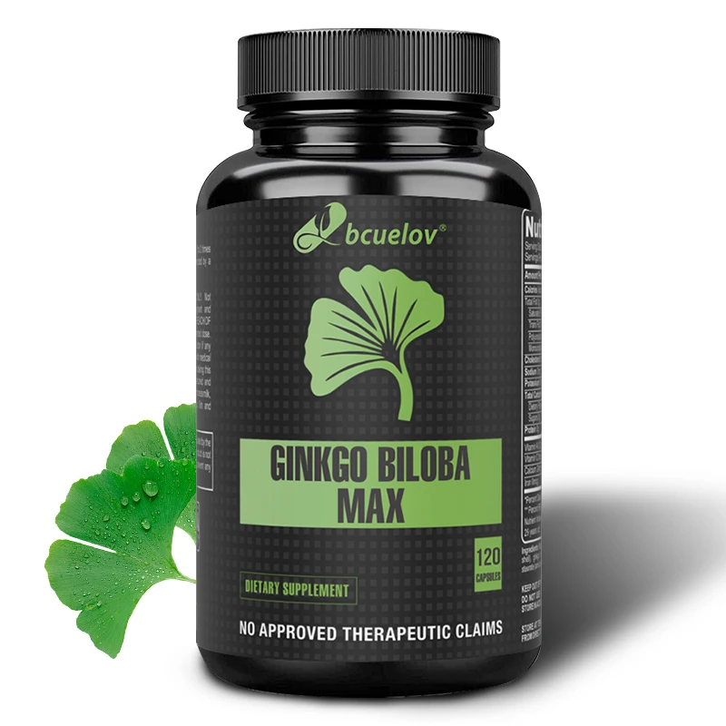 Ginkgo Biloba - Helps with Brain Function, Clarity, Focus, Cognitive Function, Nervous System Support, Concentration and Memory