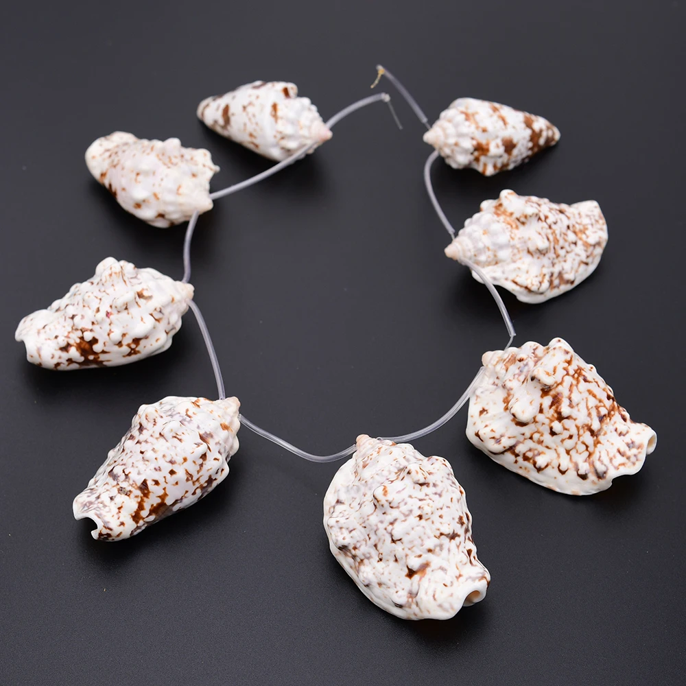 APDGG 8 Pcs Big Natural Sea Shell Pendant Loose Beads Jewelry DIY