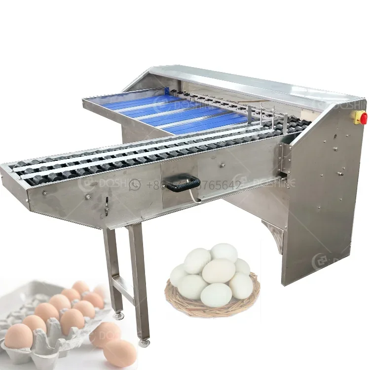 egg weight sorting machine egg sorter machine light inspection egg Candling Grading Machine