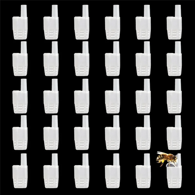 ABXF-New Queen Bee Cage Beekeeper Plastic Bee Isolator Clip Beekeeper Breeding Tools Suitable For Indoor & Outdoor Use