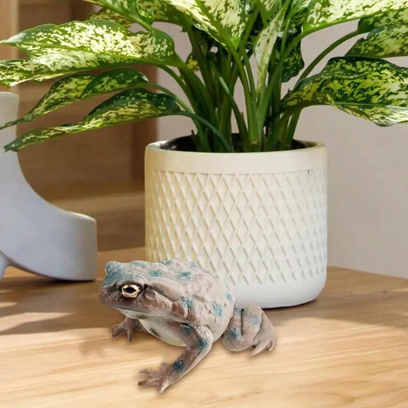 Pad Speelgoed Figuur Realistisch Speelgoed Kikkers voor Kinderen Kikker Beeldjes Leuke Kikker Standbeeld Modellen Speelgoed Miniatuur Collectible Beeldjes voor