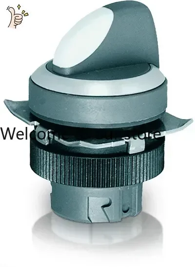 2026.4 Authentic RAFI Na'anfei Selection Switch Opening 22mm RAFIX 22QR Series Price Negotiable