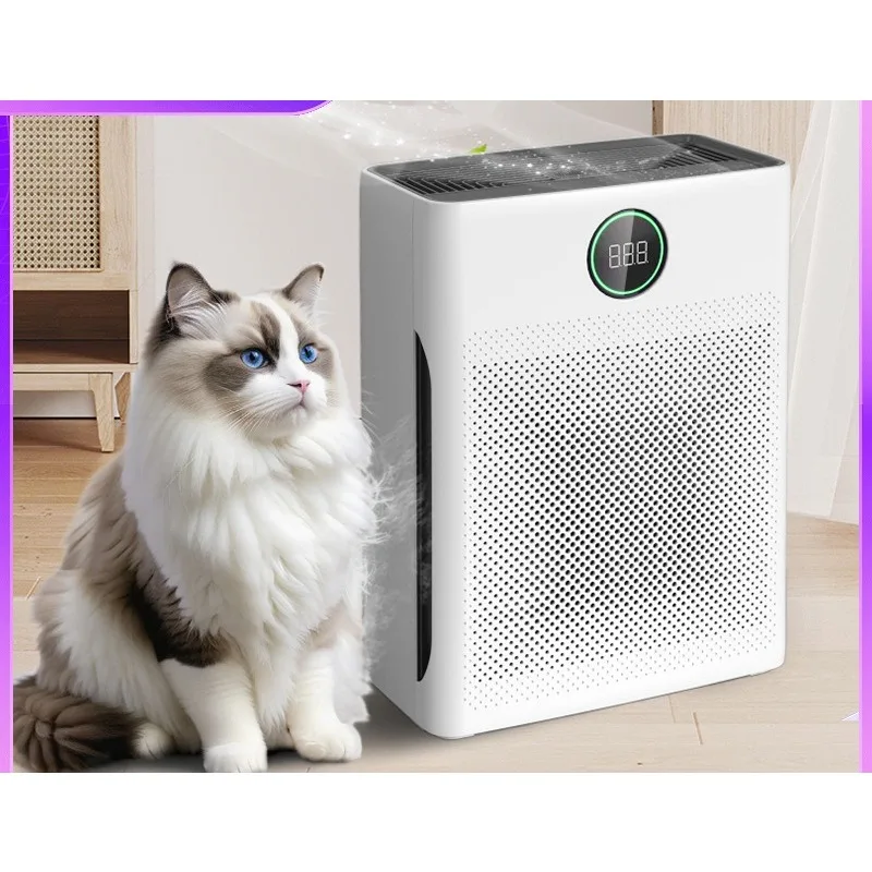 Air purifier, which can effectively absorb pet hair.
