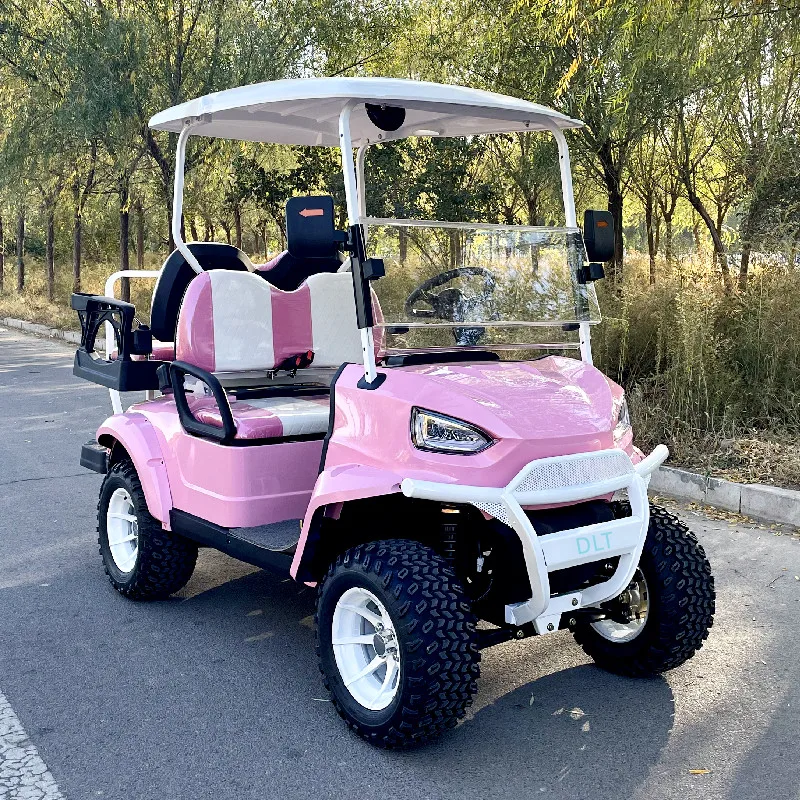 

Новинка 2026 года: Лидер продаж! Лучший электрический внедорожный гольф-кар/автомобиль для охоты 60В с 2+2 местами, сертификаты CE DOT