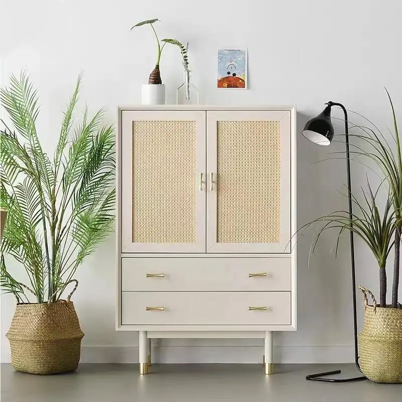 

Bedroom Shelf Living Room Cabinets Closet Organizer Drawers Nordic Living Room Cabinets Bookcase Wood Gabinete Trendy Furniture