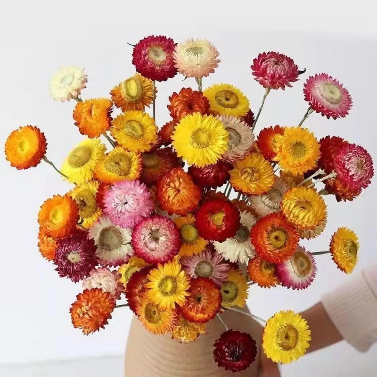 

30PCS Natural Colorful Dry Daisy Flower for HomeWedding Decoration Dried Flowers Plants for Flower Arrangement,Garden Decoration