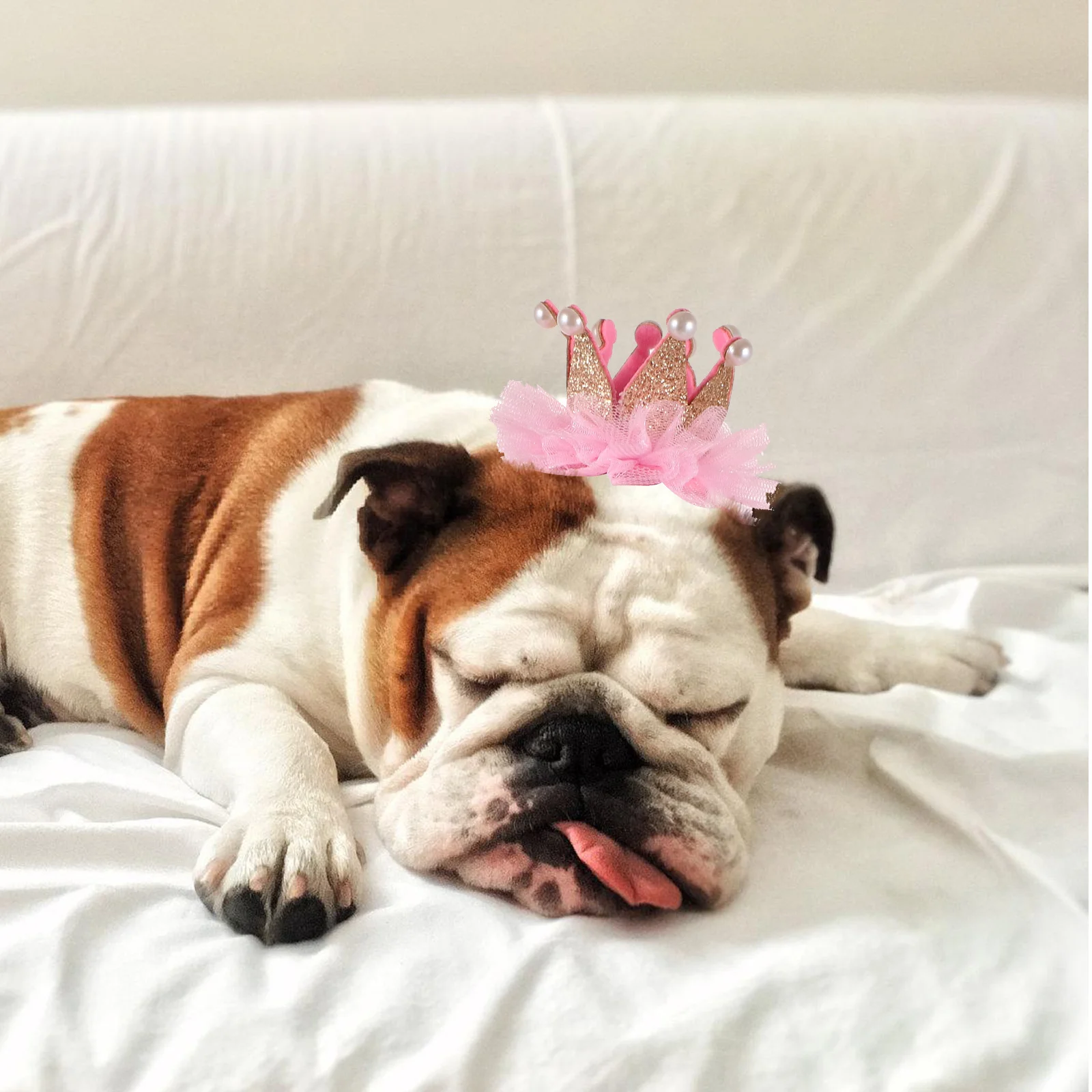 

2 Pcs Puppy Birthday Hat Saliva Set Dog Cap Pet Bandana Hats Party Pink Scarf