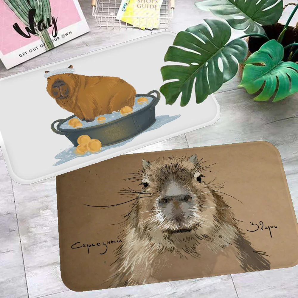 

Male Capybara Face Floor Mat INS Style Soft Bedroom Floor House Laundry Room Mat Anti-skid Bedside Area Rugs