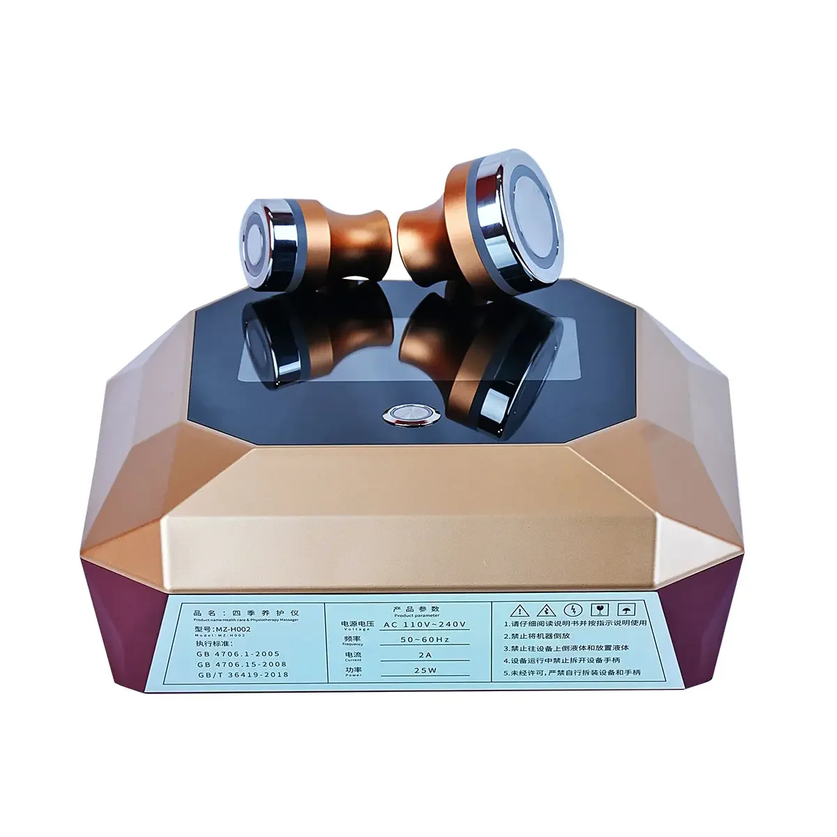 Multi-function Body Bio  Meridian Dredge Pulse Physiotherapy Instrument