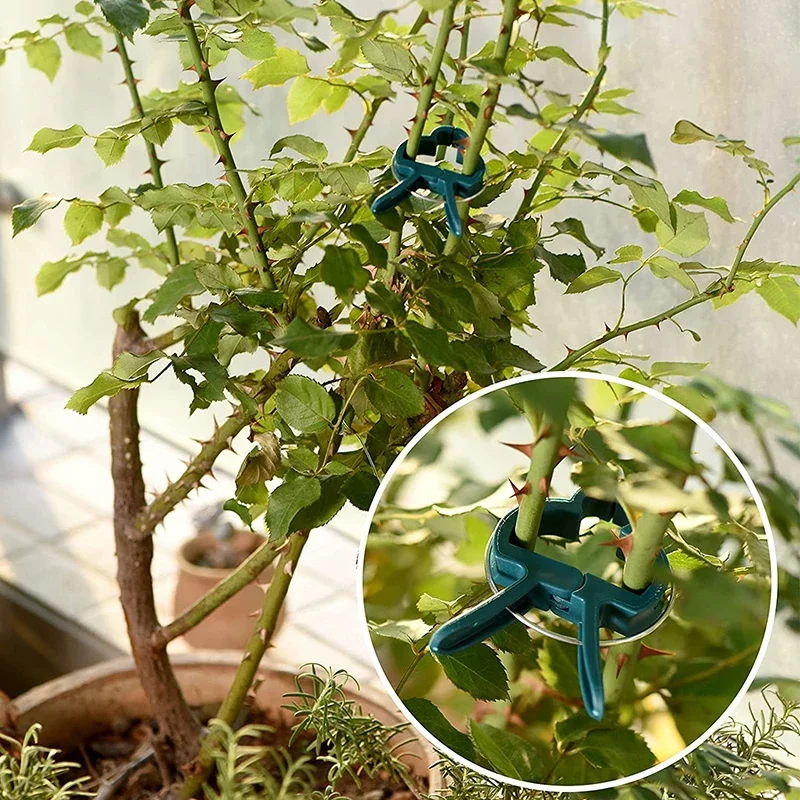 50/100pcs Garden Plant Clips Reusable Plant Fixed Clips 2 Size for Greenhous Vegetable Flowers Stem Vines Grape Clamp Fastener