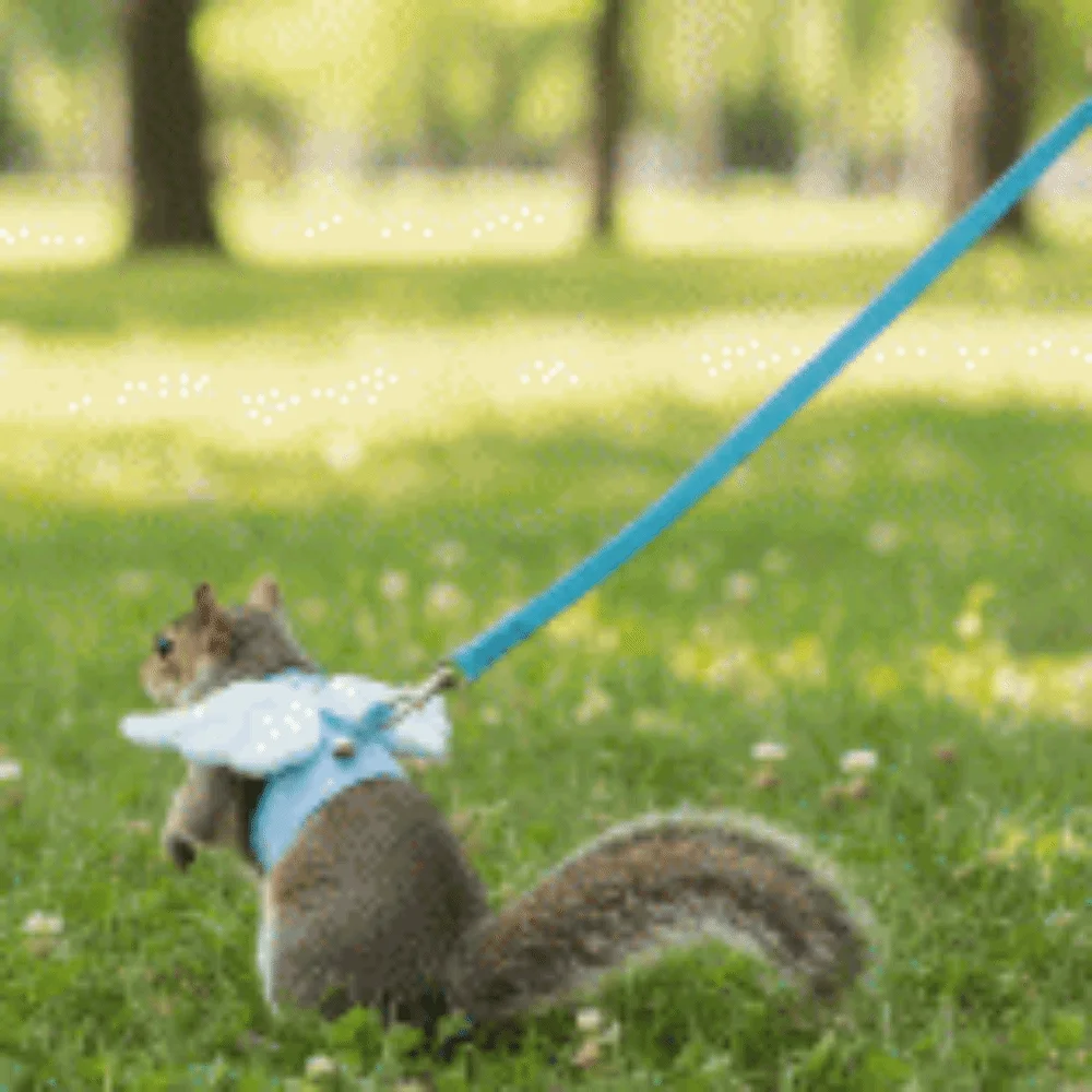 Adjustable Ferret Traction Harness Cartoon Comfortable Guinea Pig Chest Strap with Bell Escape-Proof Drawstring Vest Training
