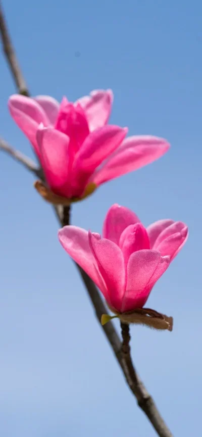 

Universal 4PCS RC Tires for 1/7 ARRMA Infraction Limitless FELONY, Fits FSRC Model GT 1/8 HuanNao X3GT