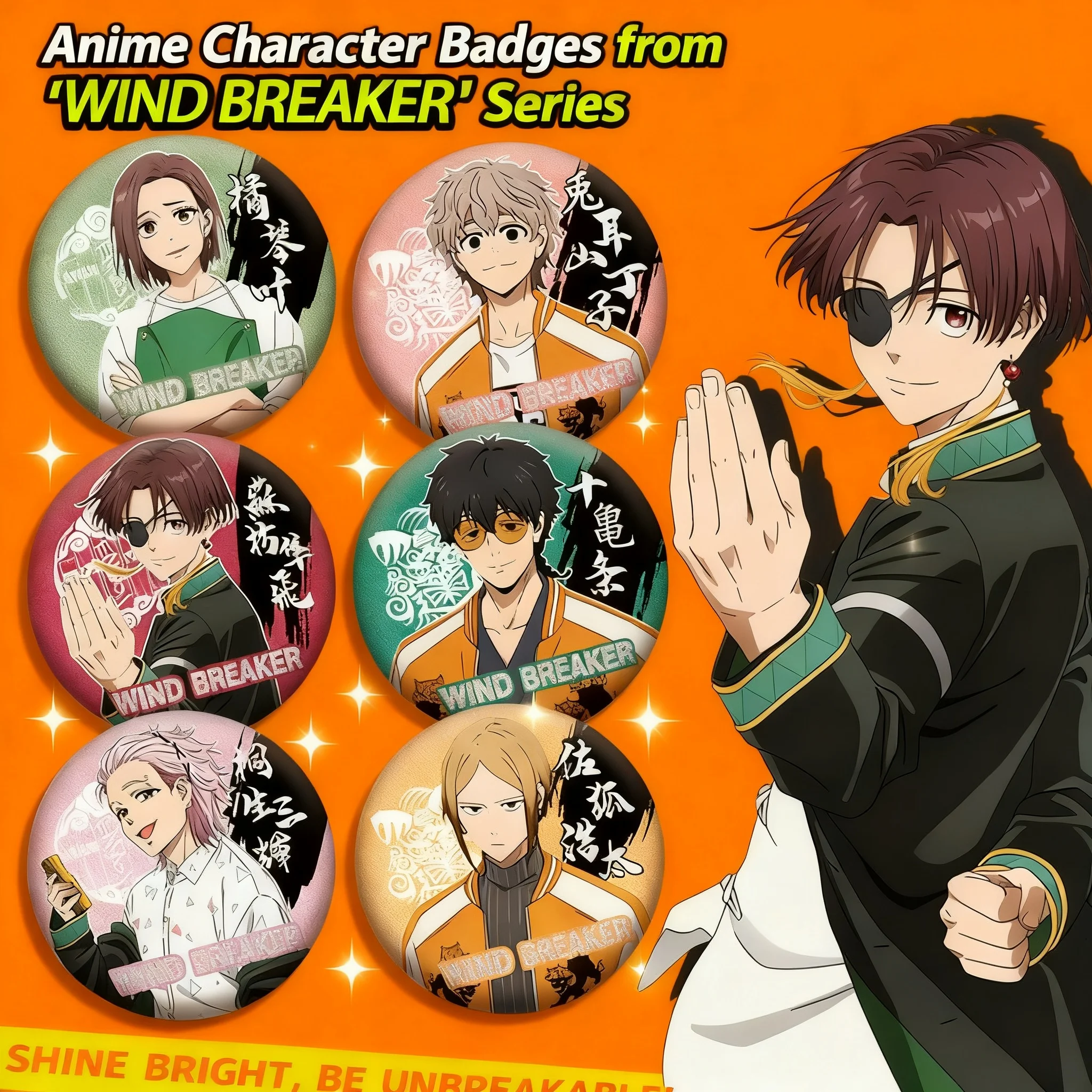 

Windproof Youth PET Double Flash Badge 201-263 Laser Fine Flash Chest Badge Tinplate Anime Merchandise Accessories