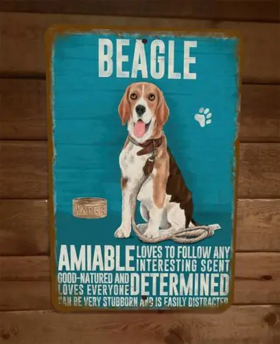 Beagle Amiable Determined Stubborn Easily Distracted 8x12 Metal Wall Sign