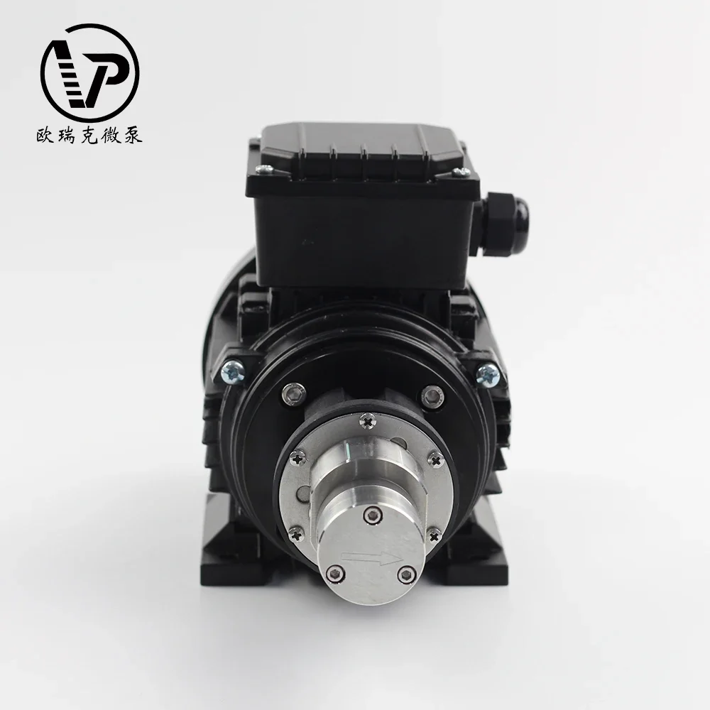 High Pressure 220v AC Magnetic Drive Gear Pump for Packing Machine Transfer High Temperature Mini Gear Pump