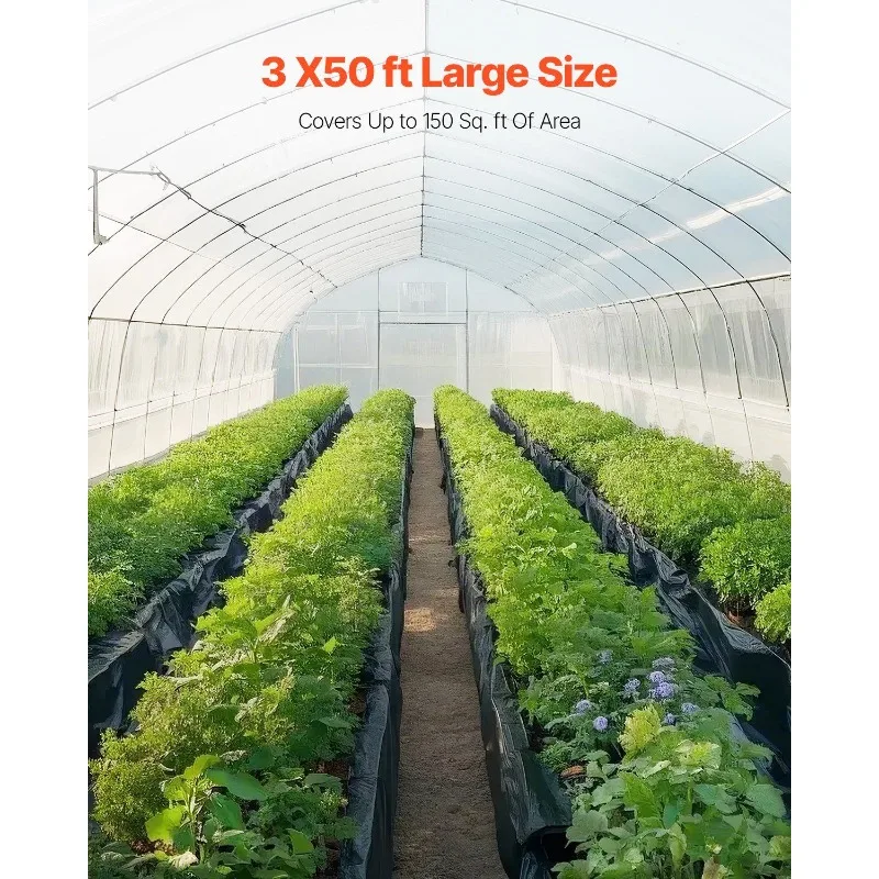 3FT x 50FT Plastic Sheeting Heavy Duty, 4 Mil Thick Plastic Sheeting Roll, Plastic Drop Cloth Painters Tarp, Polyethylene