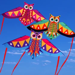 Kite animal colorido dos desenhos animados para crianças, Kite coruja engraçada, Brinquedo voador, Brinquedos ao ar livre, 1 conjunto