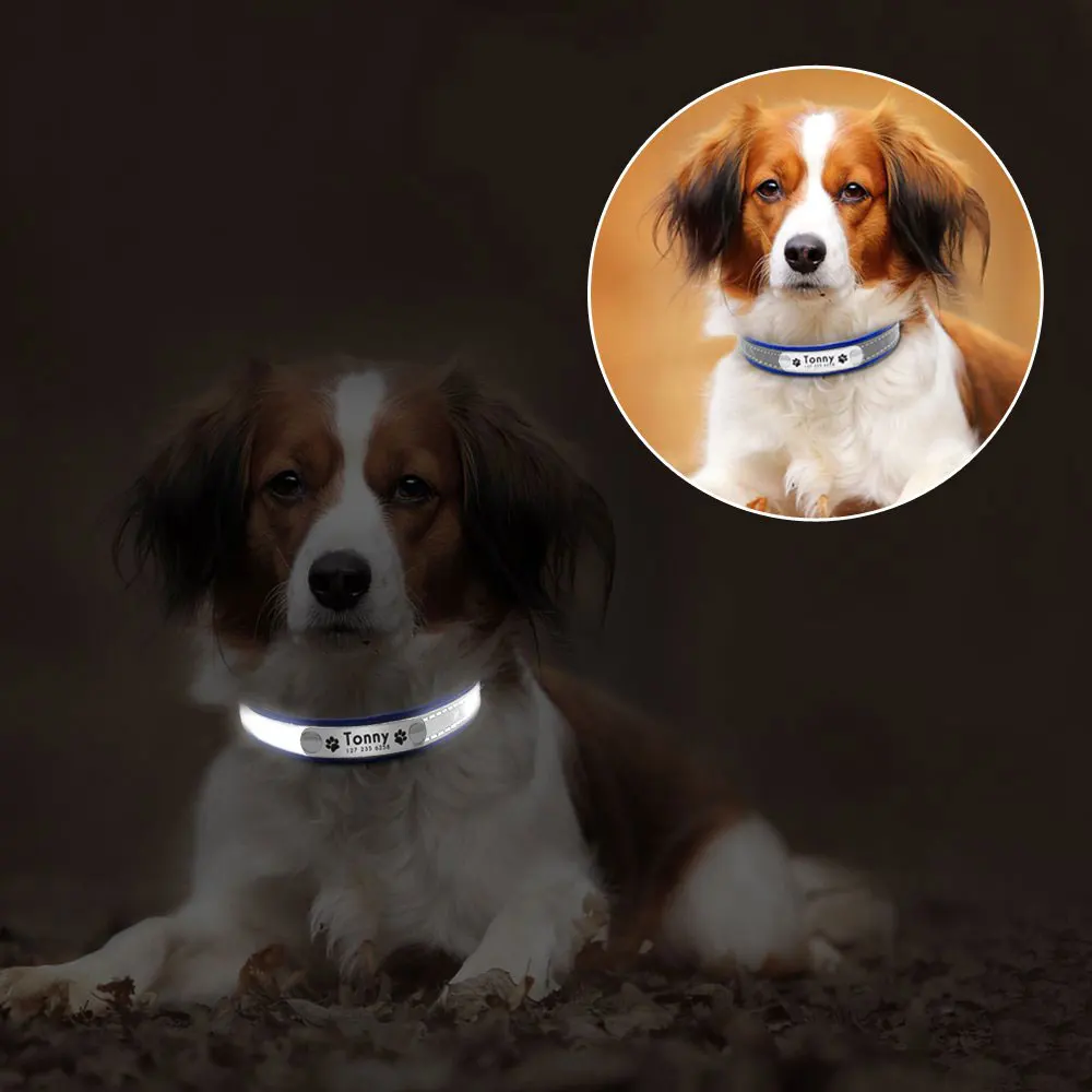 Reflective Leather Engraved Dog Collar Tag Girl Boy Cat Kitten Puppy Small Medium Adjustable Free Customization Personalized