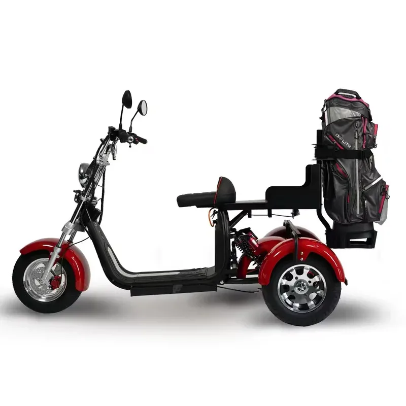 

ZAIQU australia market Cart Car Lipo Batteries Cart Stable and Comfortable 2 Seater Electric Lithium Battery