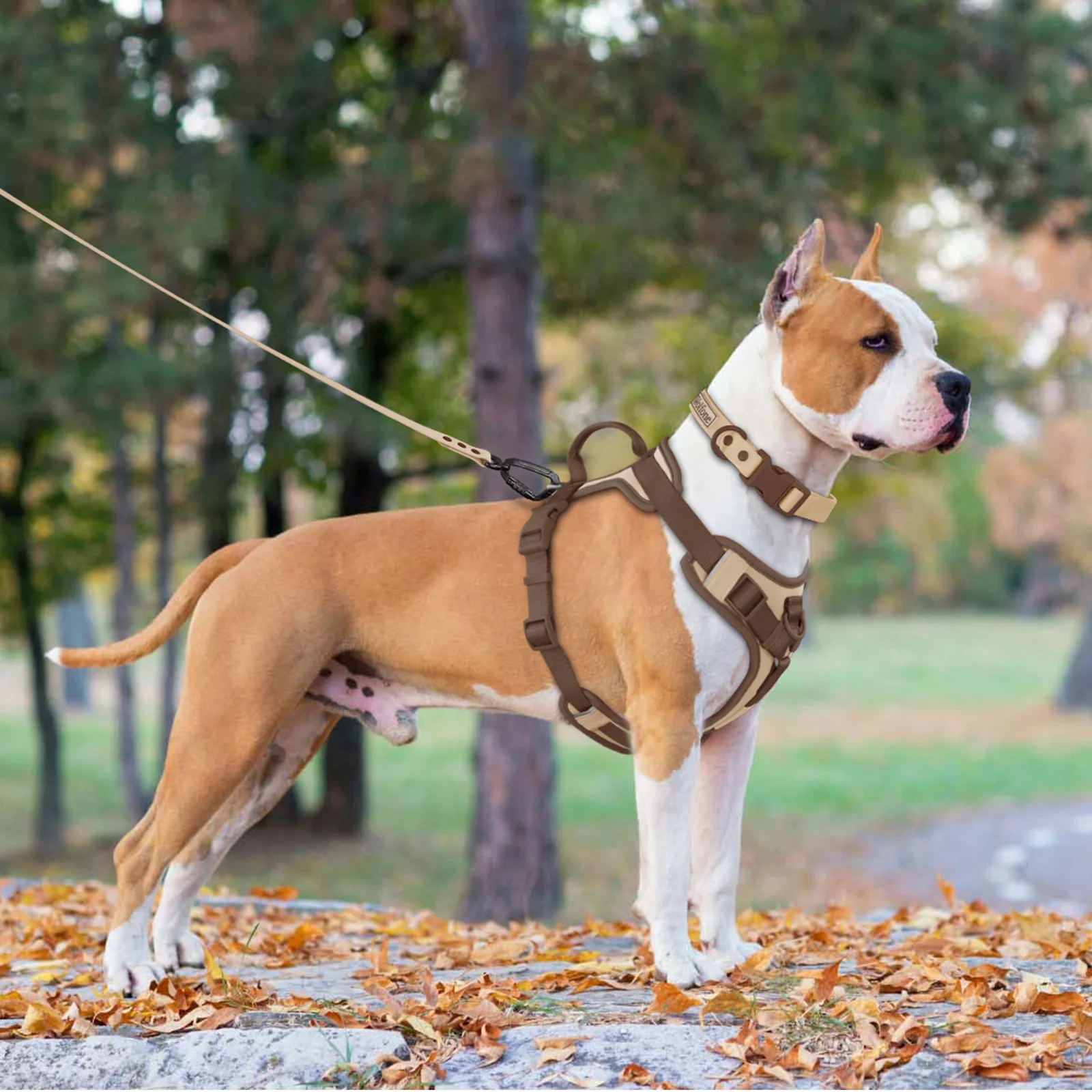 New Chocolate color luxury Dog Harness no pull for large Small dogs Adjustable Chest Strap dog harness personalized