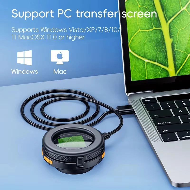 yZ[z500X fW^nhwh 2 C` IPS XN[܂肽݊g勾 8 LED CgtGNgjNXRCWG[vCp