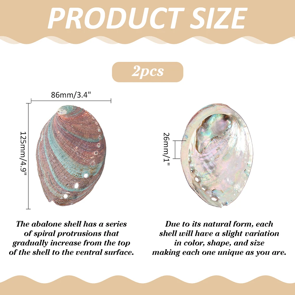 2Pcs Abalone Shells Coconut Brown Abalone Shell Bowl 3.4 to 4.9 Inches All Shell Smudge Bowl Sage Burner Holder for DIY Craft