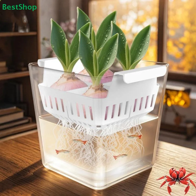 ❀❀Hydroponic Tulip Pot - 4-Hole Transparent Water Culture Planter with Breathable Basket for Bulb Flowers