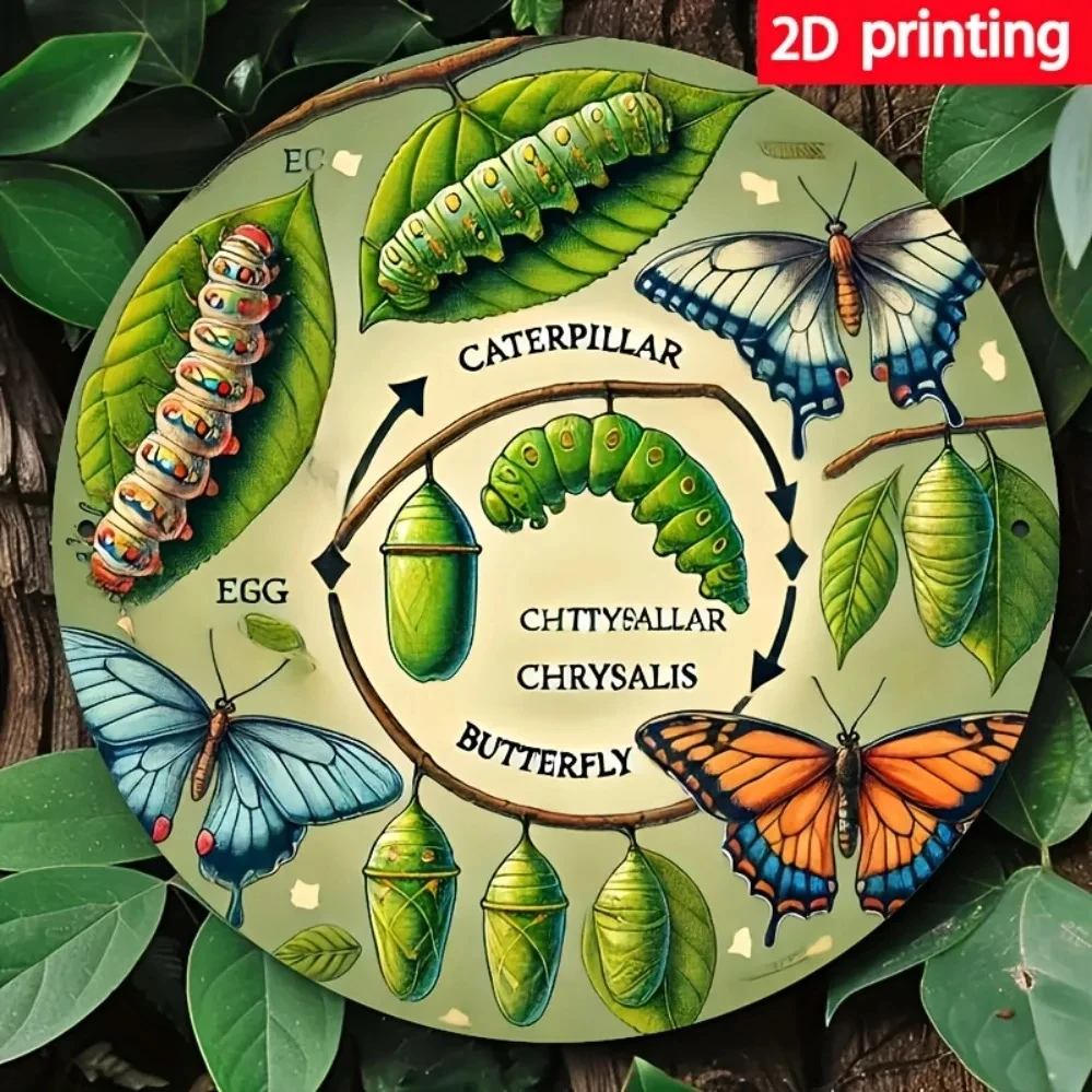 Butterfly Life Cycle Chart, Suitable for Coffee Shops, Bedroom Decor or Valentine's Day Gifts, Featuring Colorful Butterflies