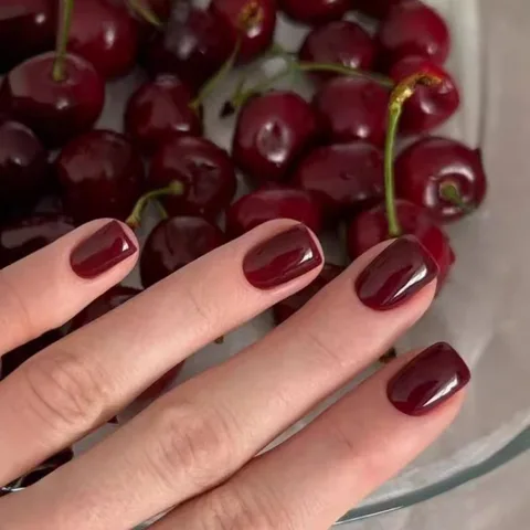 Wine Red Short Square Press On Nails