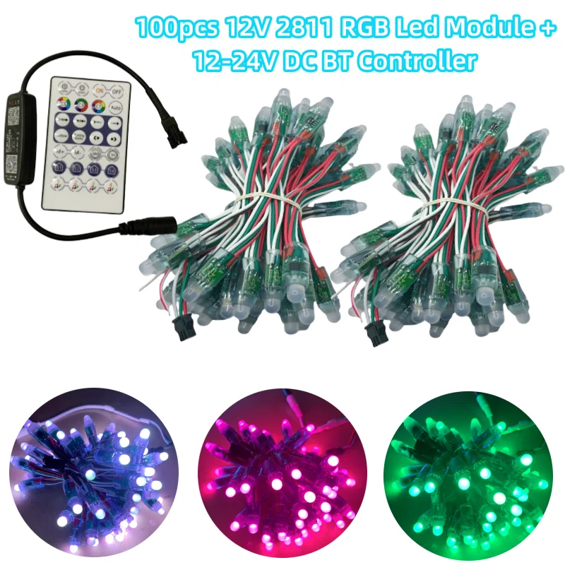 100pc 12mm 12V LED Pixel Module and 12-24V DC BT Controller Kit WS2811 RGB FullColor IP68 2811IC Digital LED Christmas Light Kit