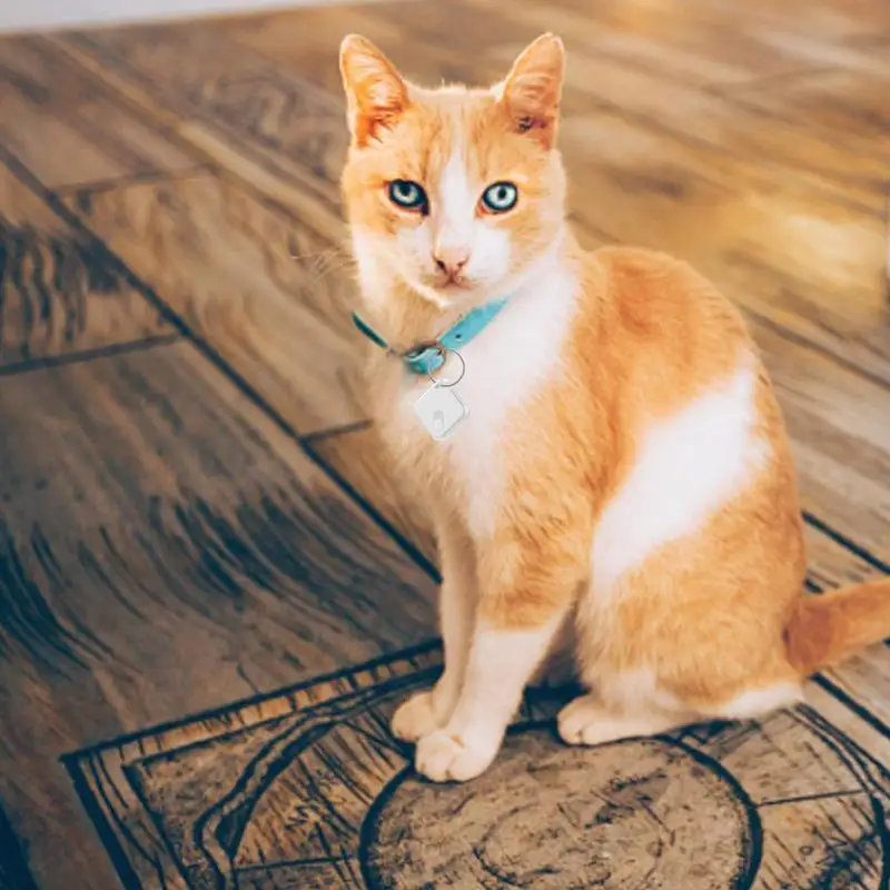 Dispositivo di localizzazione del cane GPS IPX65 impermeabile Anti-smarrimento 60db Tag di tracciamento dell'allarme alimentato a batteria a prova di polvere localizzatore di gatti chiave sigillata