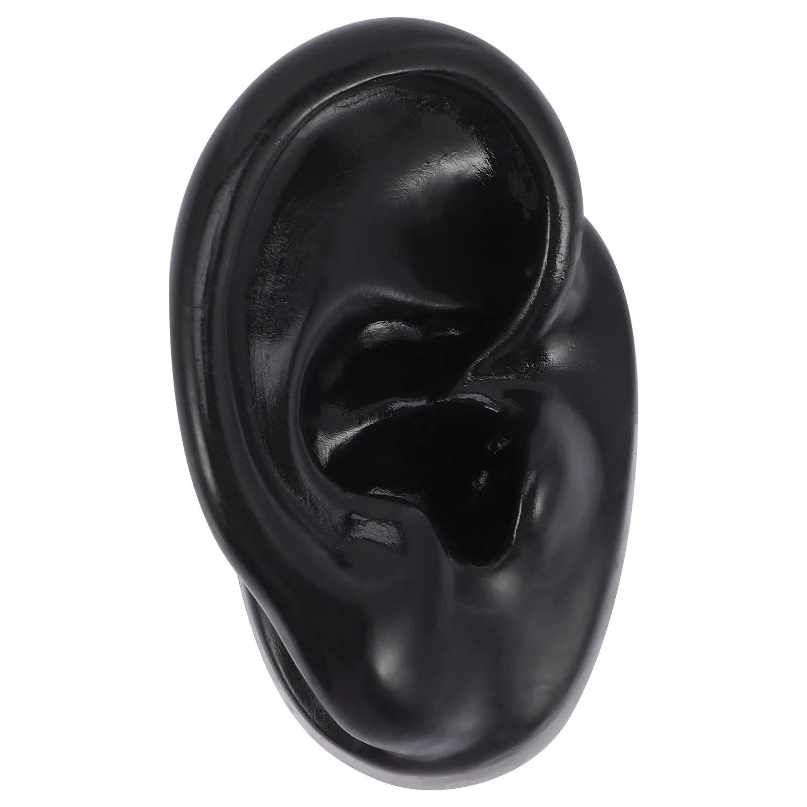 Silicone Ear Realistic Human Ear Jewelry Display Earring Piercing Practice Body Part Simulation Jewelry Display Earring